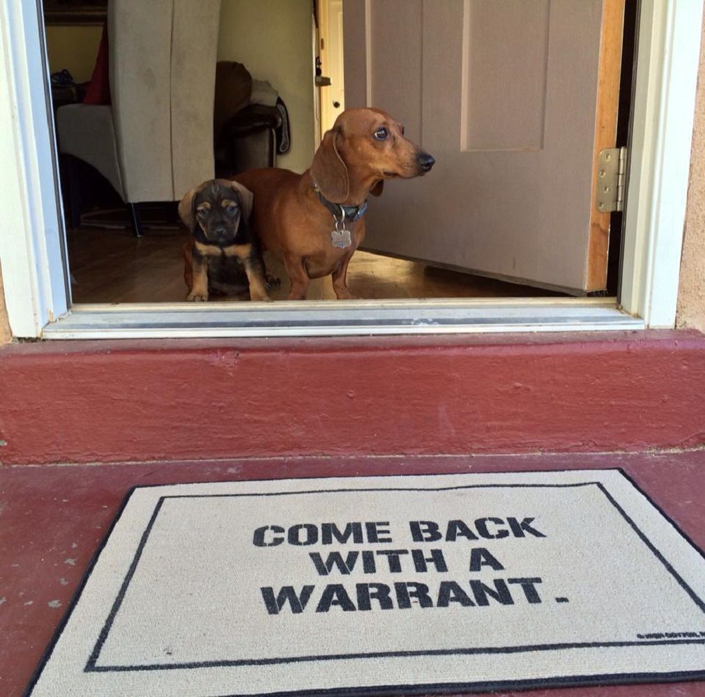 Come Back With A Warrant Doormat