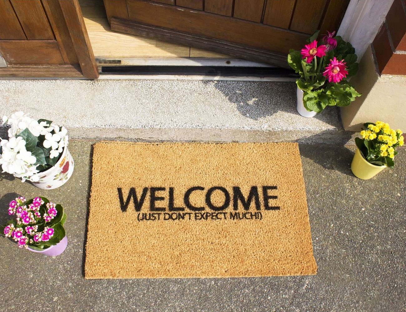 Welcome Just Don’t Expect Much Doormat