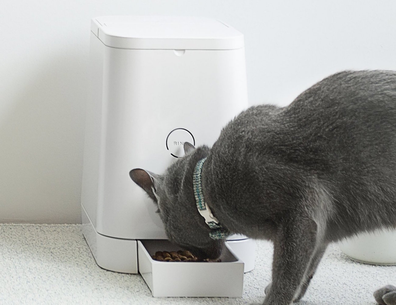 code size iframe Flow  Gadget Automatic Feeder »  Pet PETLY