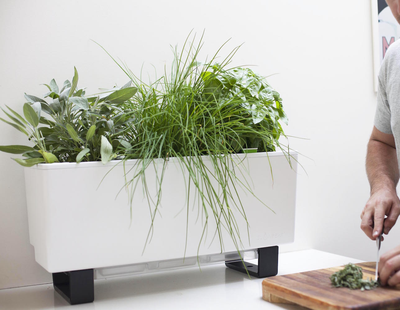 Glowpear Mini Bench self-watering planter creates the ideal growing conditions for plants
