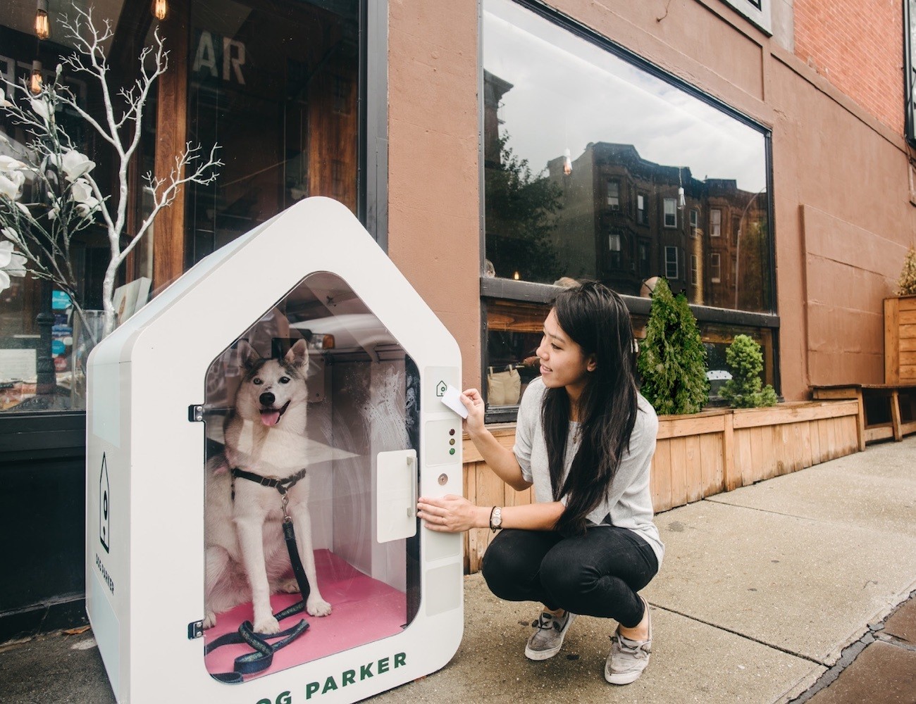 Dog Parker – Smart Dog Houses