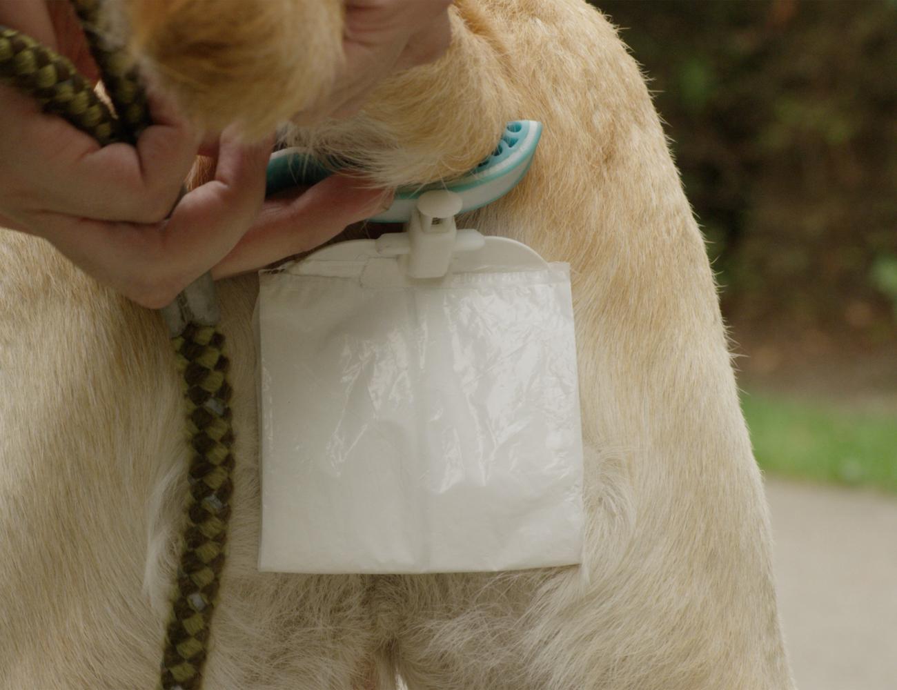 Piqapoo HandsFree Dog Poop Collector » Gadget Flow