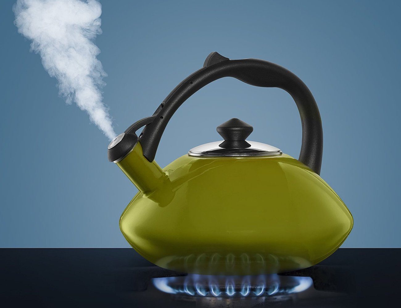 Whistling Tea Kettle