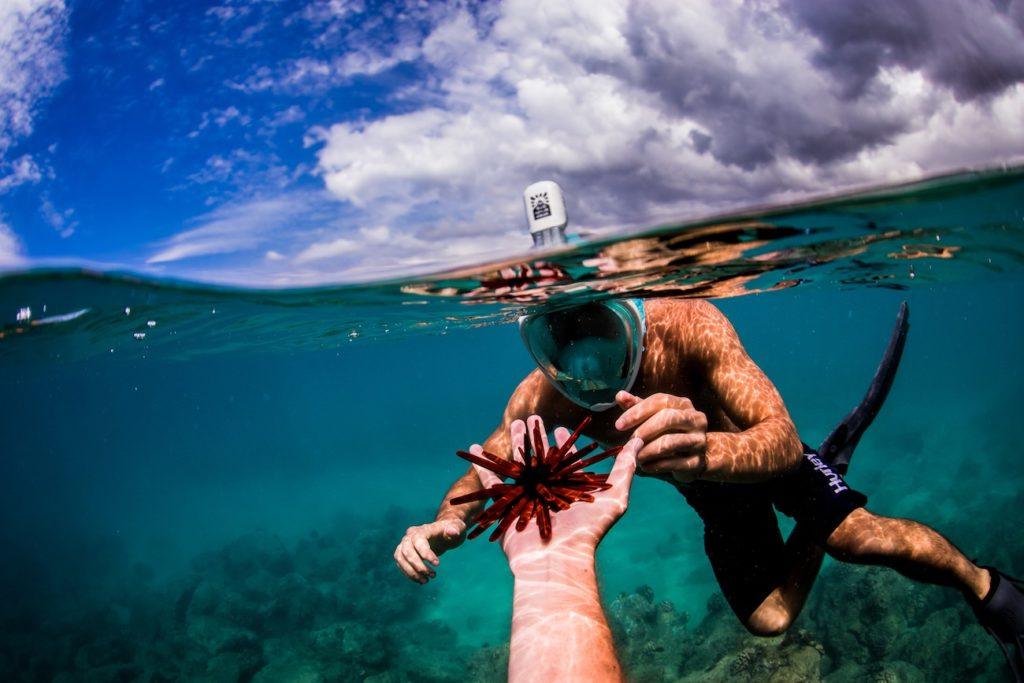The H2o Ninja Snorkel Mask has an attachment for your GoPro