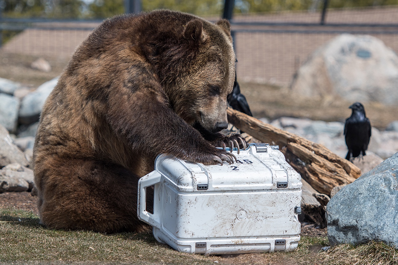 The New OtterBox Rugged Coolers Are Made for Adventure 02