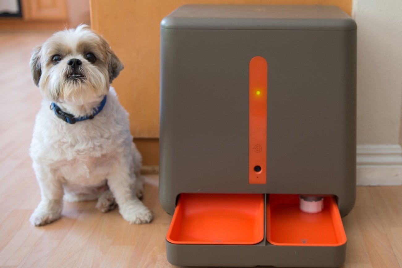 easyFeed Automatic Pet Feeder