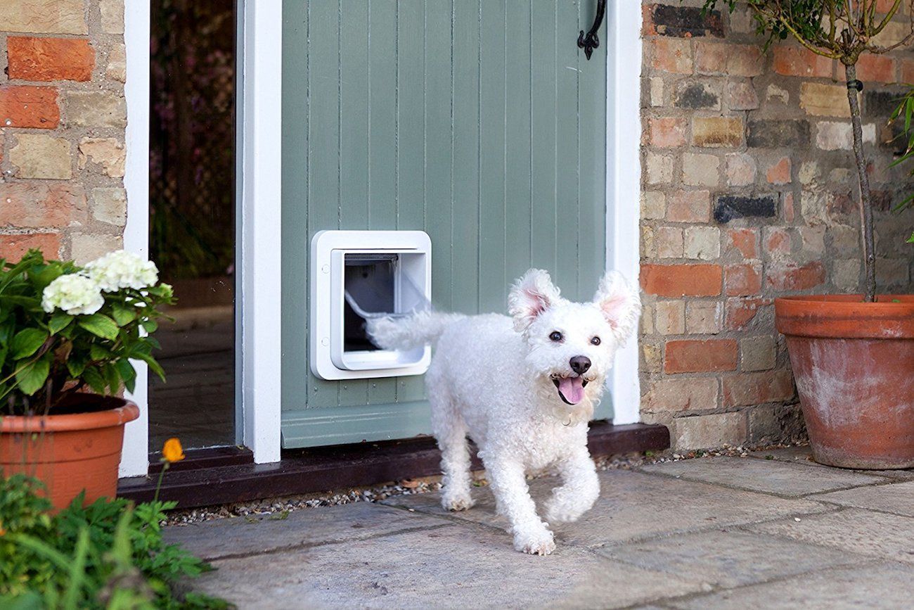 SureFlap Automatic Microchip Pet Door lets your kitty or pup come and go as they please