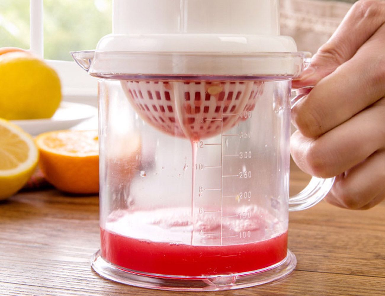 Mini Homemade Fruit Juicer