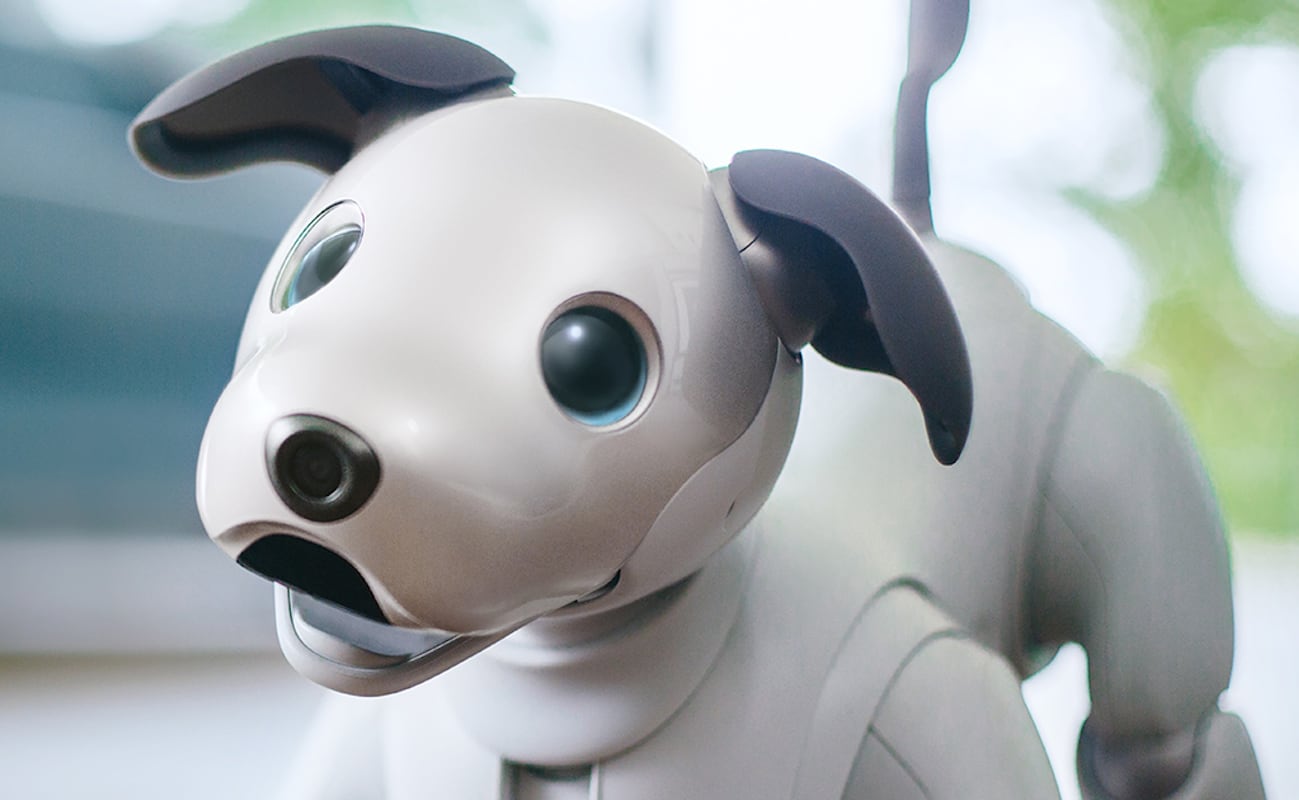 Sony aibo Intelligent Dog Robot Pet can greet you when you get home