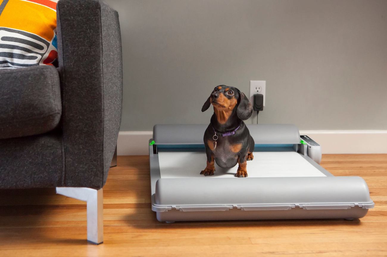 BrilliantPad Original self-cleaning dog potty wraps and seals waste for an odor-free home