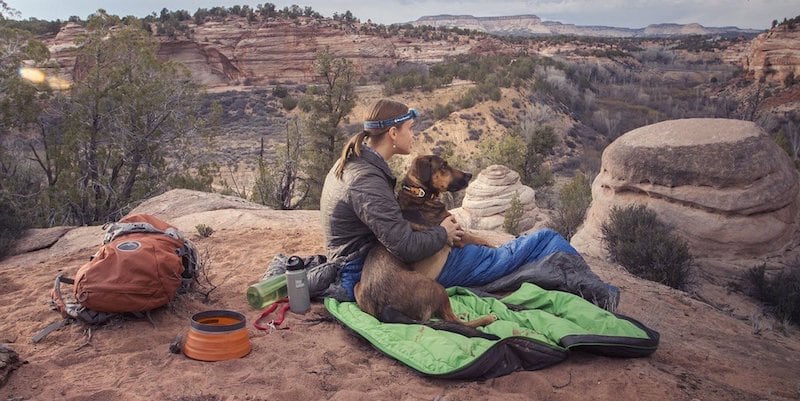 9 Dog accessories for the truly adventurous owners