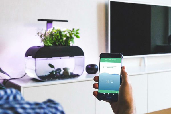 6 Smart mini-ecosystems for your home