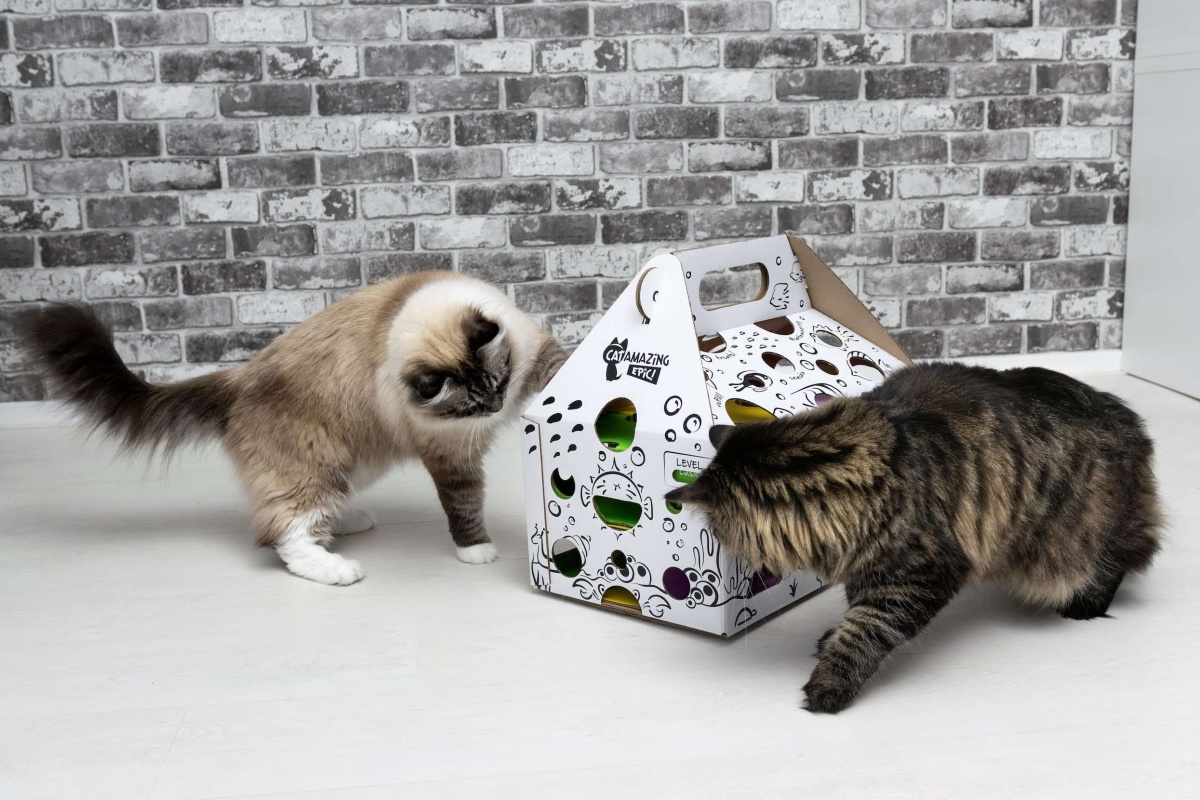 Your cat will love the EPIC! puzzle feeder