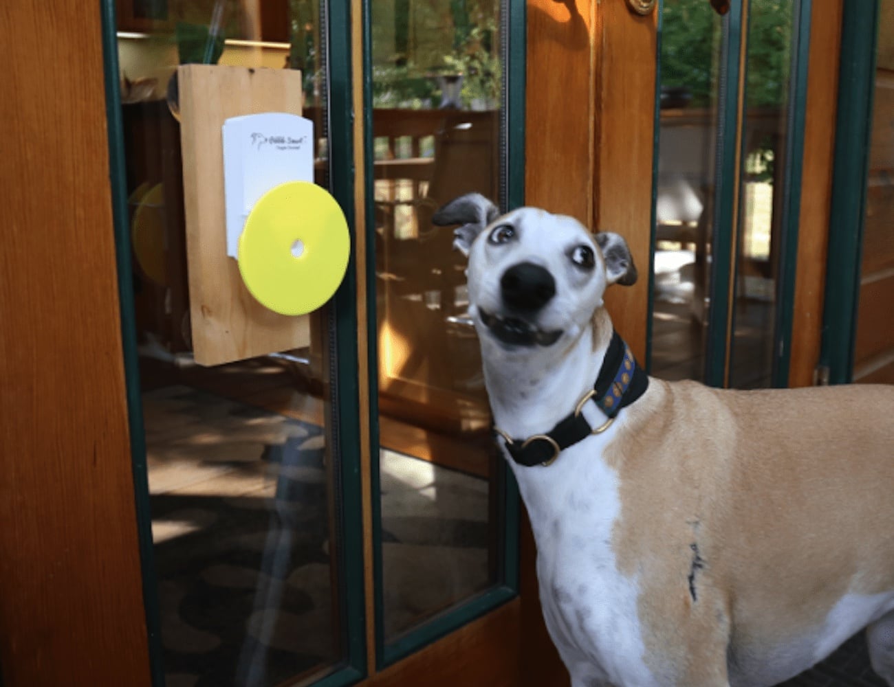 Pebble Smart Doggie Doorbell » Gadget Flow