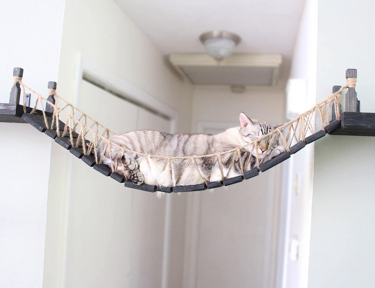 CatastrophiCreations Roped Cat Bridge » Gadget Flow
