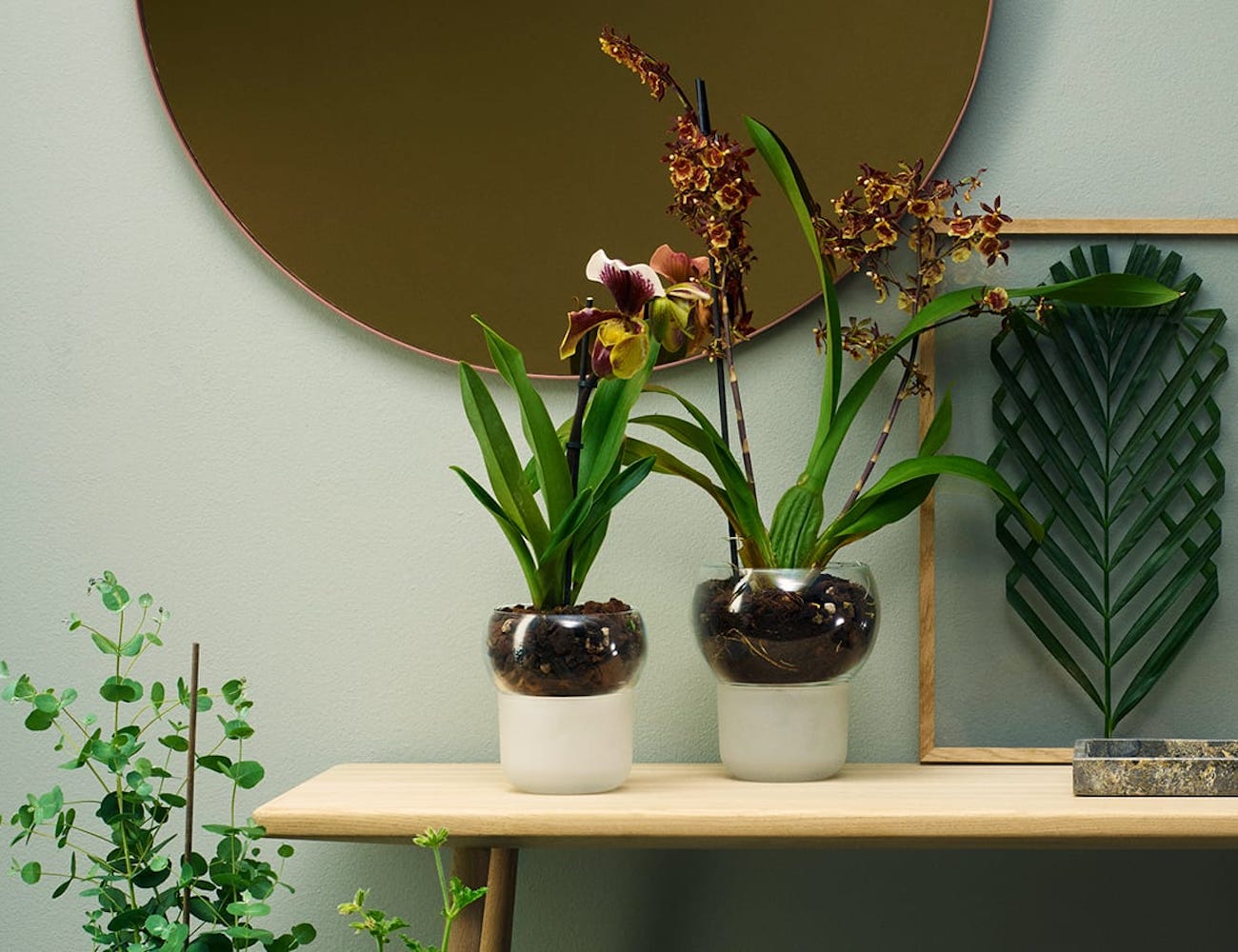 Eva Solo Self-Watering Orchid Pot
