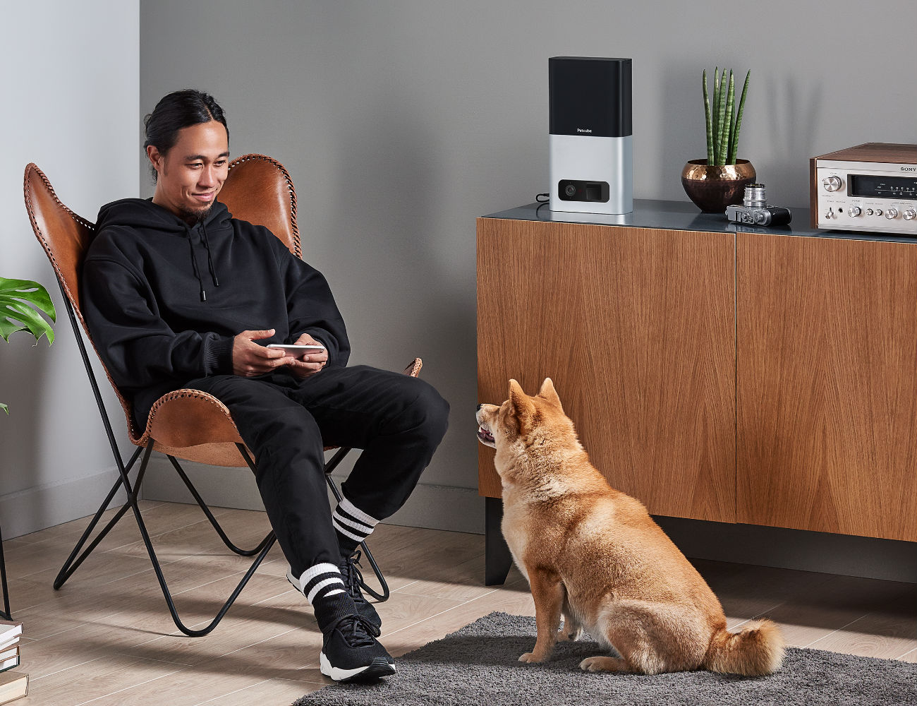 Petcube Bites Treat Flinging Pet Camera » Gadget Flow