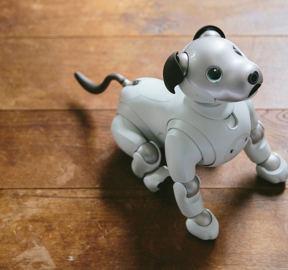 This Sony aibo Is a Cute Intelligent Dog Robot Pet