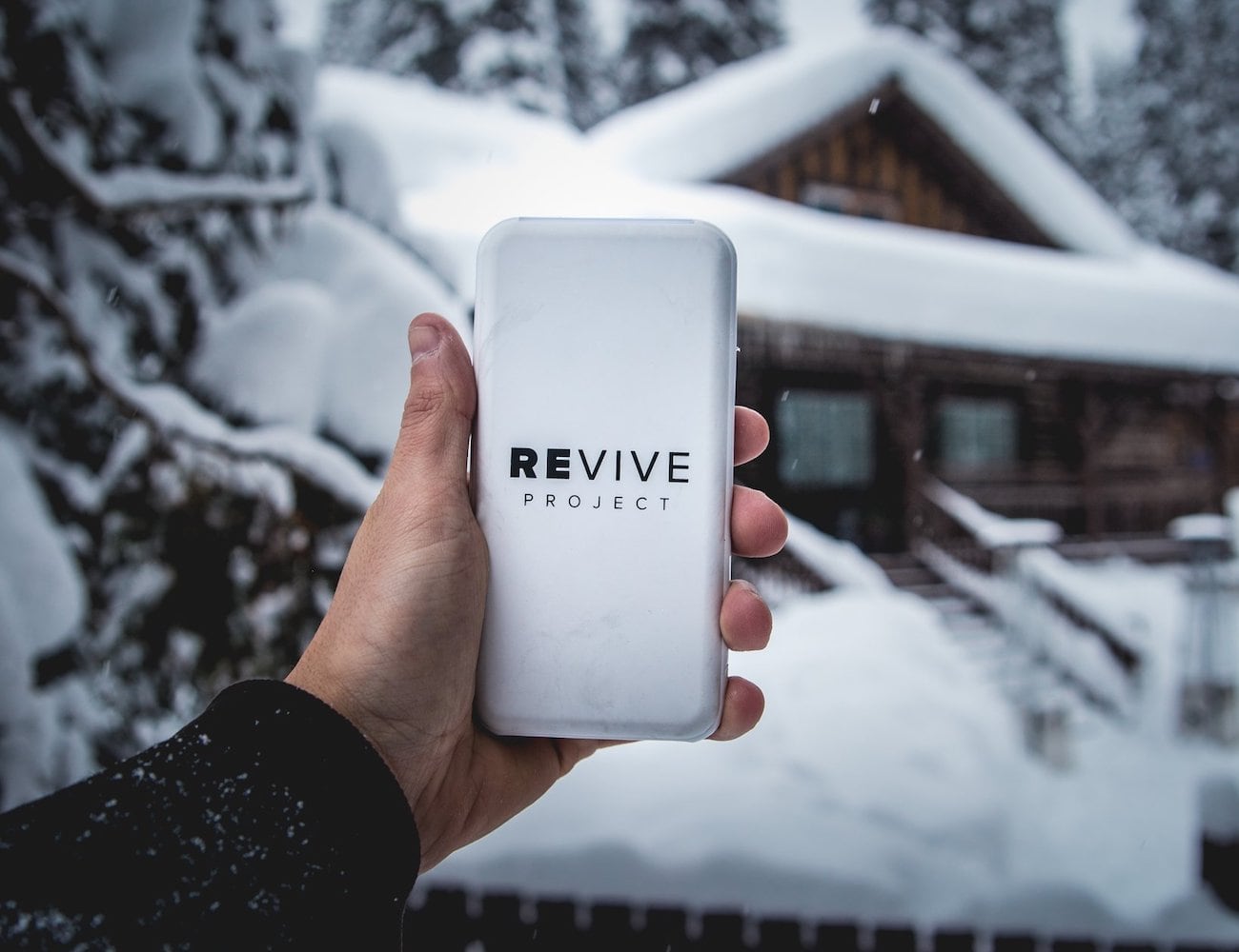 REVIVE 10,000 mAh High-Speed Power Bank charges with style