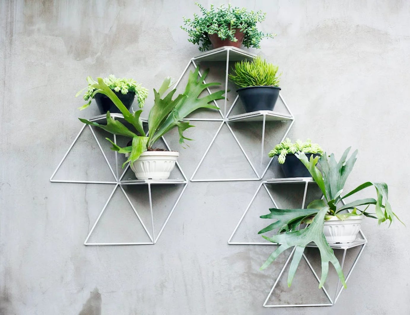 Estudio Parrado Garden Modules are the modern way to hang houseplants
