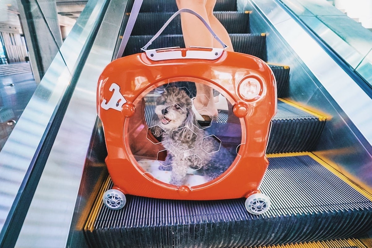 PupMee IoT Smart Pet Carrier offers a safer way for pet travel