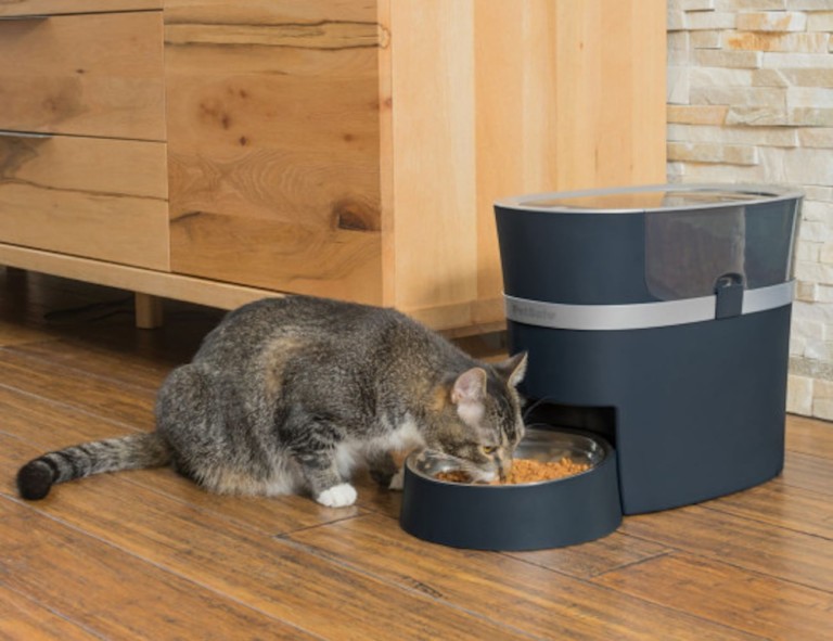 smart home gadgets pet feeder