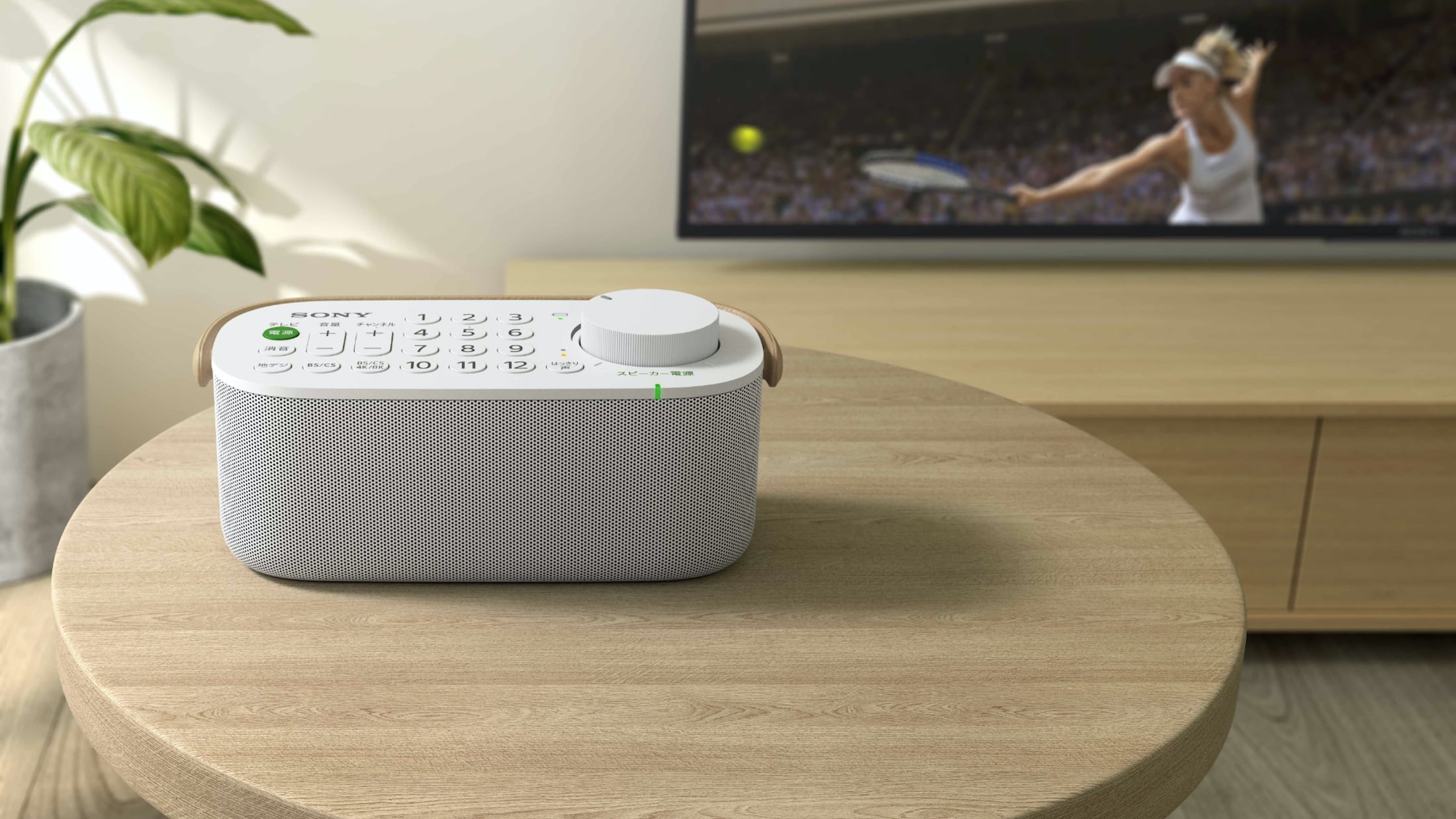 This Speaker Remote Extends Your Television's Sound