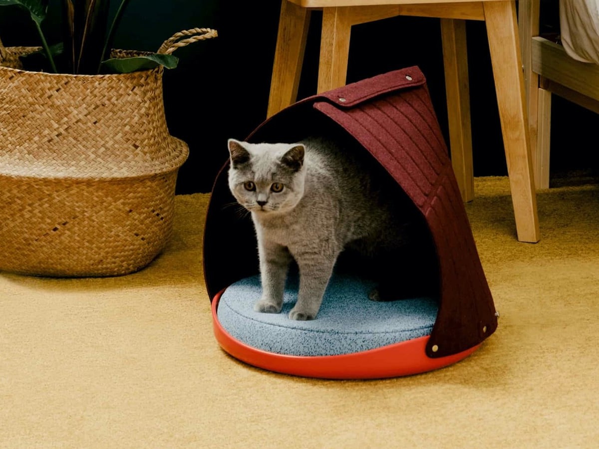 Cat Person Canopy 3-in-1 Feline Bed adjusts depending on how your cat likes it