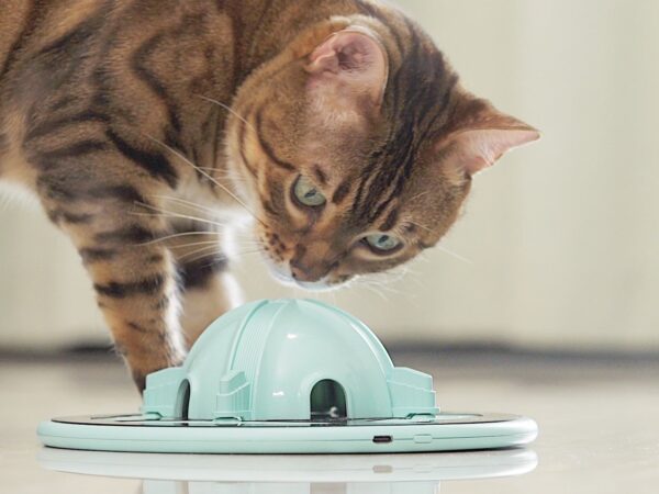 TrickyPaw cat hunting toy is a smart companion to entertain your feline friend