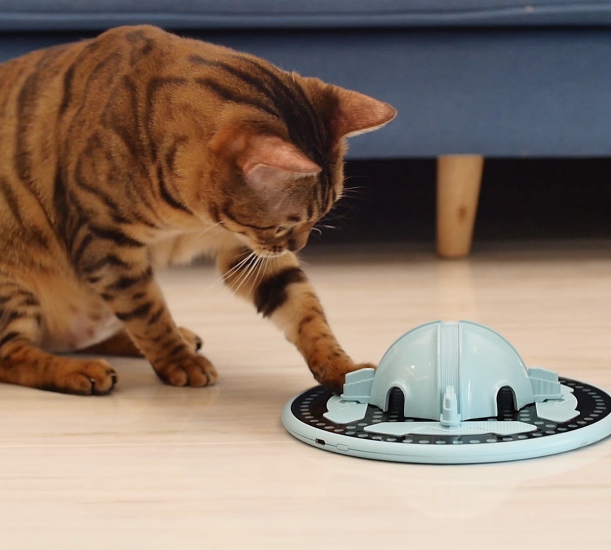 TrickyPaw cat hunting toy is a smart companion to entertain your feline friend