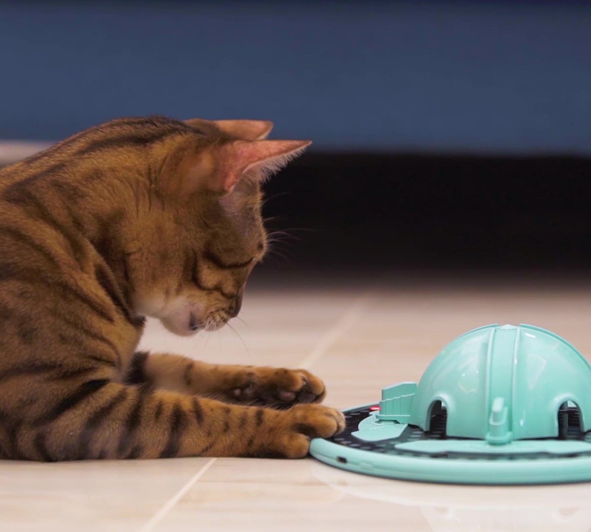 TrickyPaw cat hunting toy is a smart companion to entertain your feline