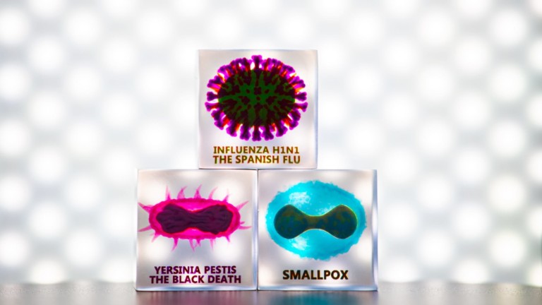 Contagion Cubes 3D virus & bacteria art displays different maladies