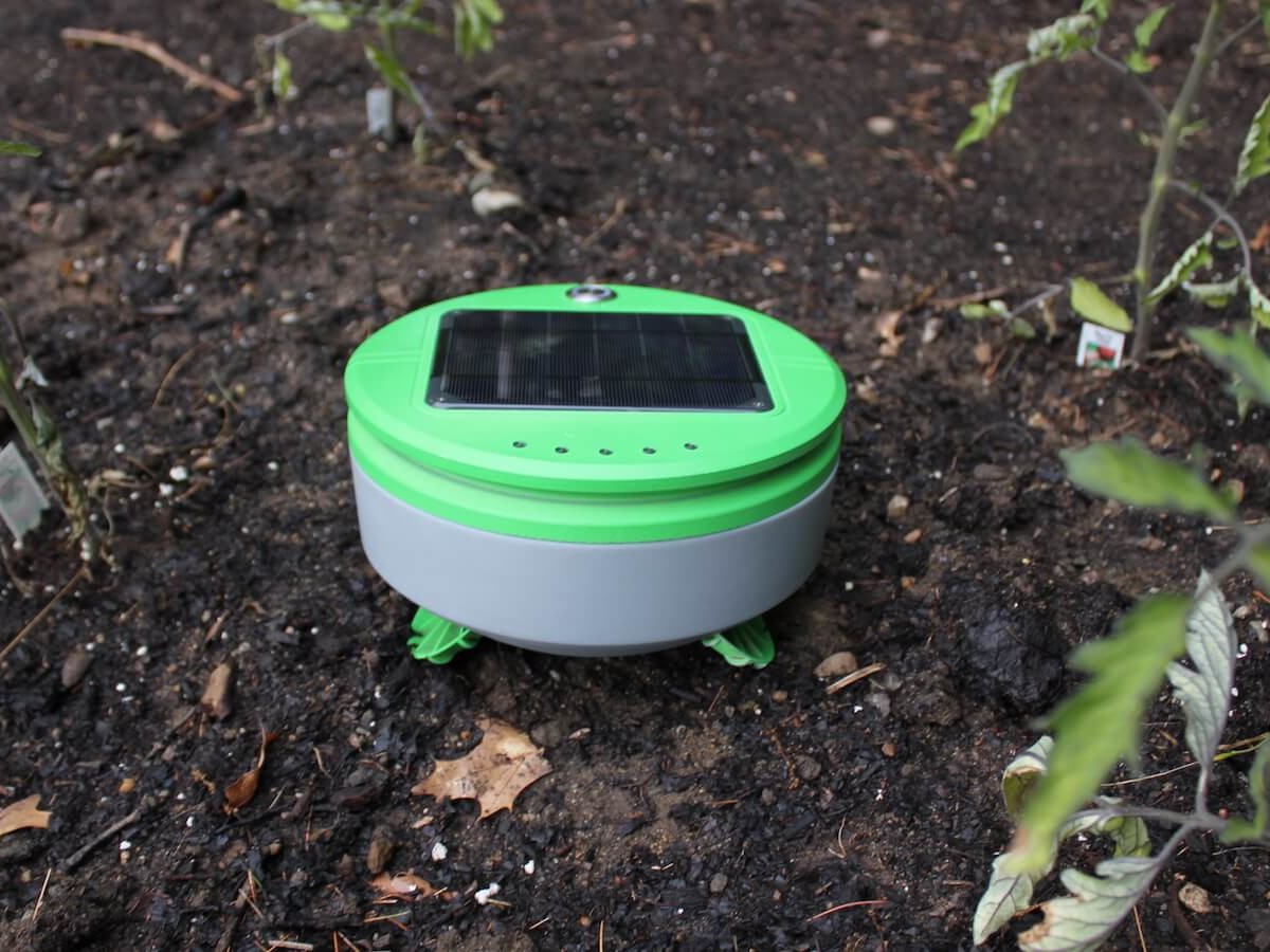 Tertill Weeding Robot is the perfect garden gadget for whacking weeds