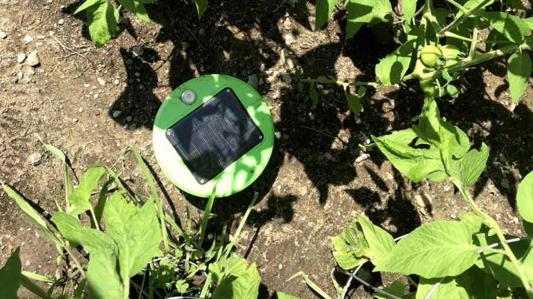 Tertill Weeding Robot is the perfect garden gadget for whacking weeds
