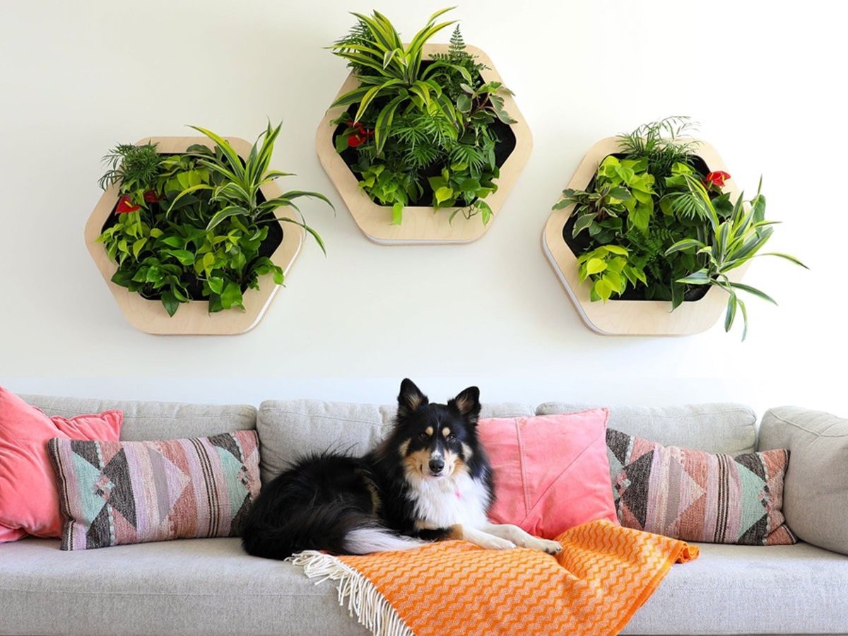 Gromeo mini garden wall system brings the outdoors to your home or office