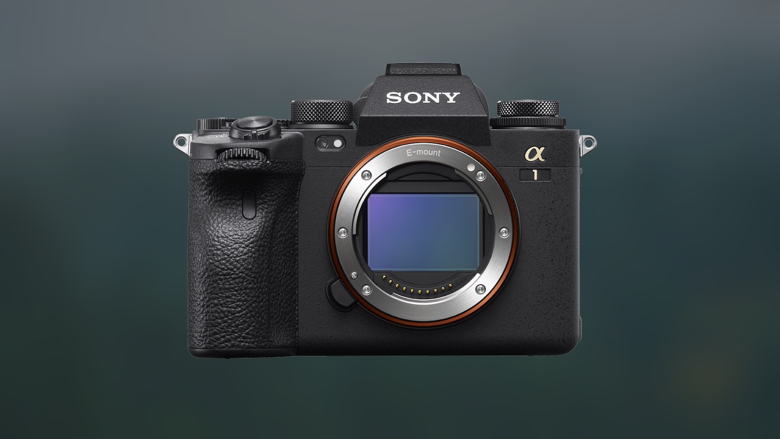 Sony α1 interchangeable lens camera offers high resolution and fast speed » Gadget Flow