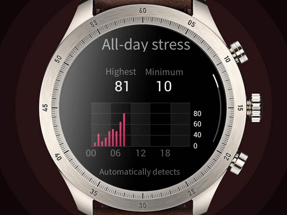 heart rate stress monitor