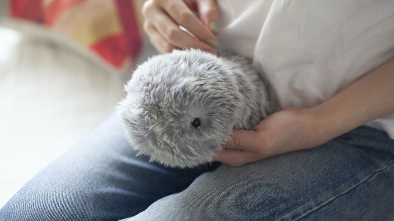 Meet the AI robot pet from CES 2021 with emotions » Gadget Flow