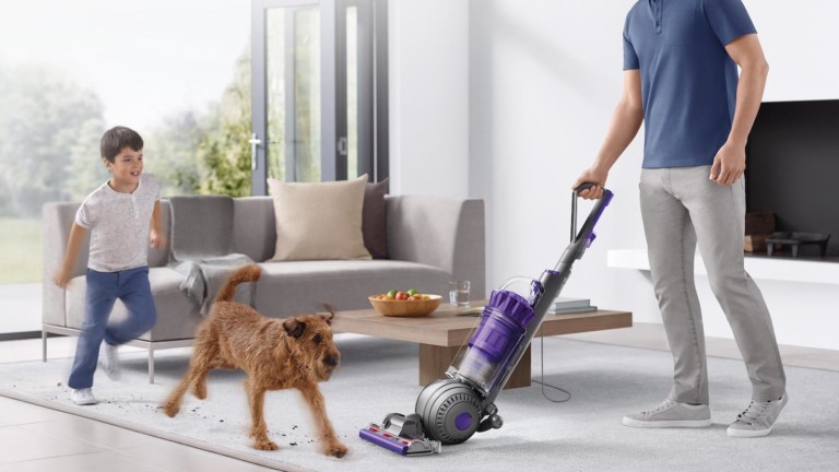 Dyson Ball Animal 2 pet vacuum picks up dust, animal hair, and ground-in dirt from floors