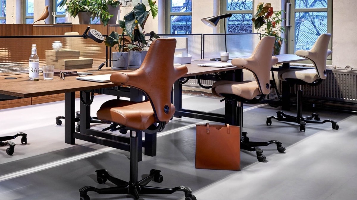 Which office chair should you buy for your workspace?—kinetic