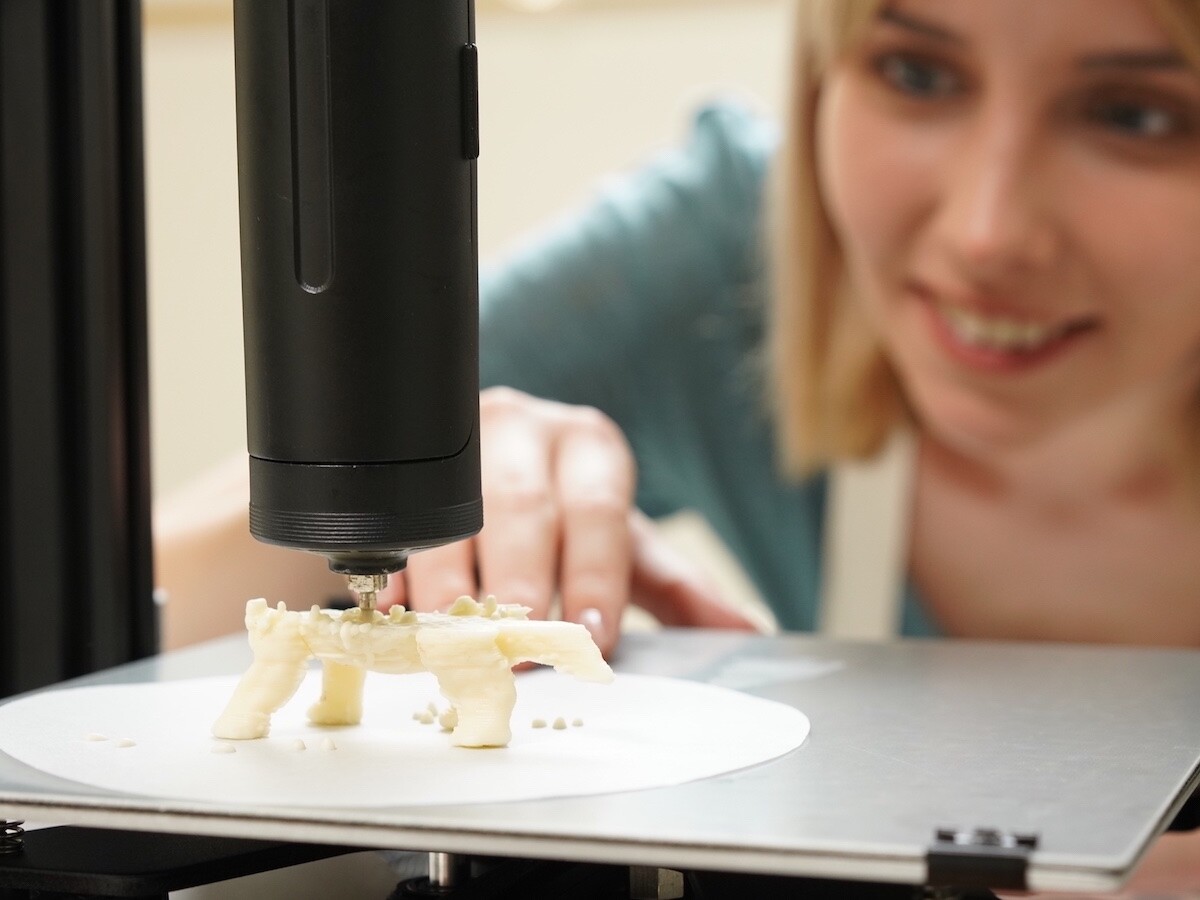 LuckyBot FDM 3D printer food extruder installs easily & prints food in the shape you want