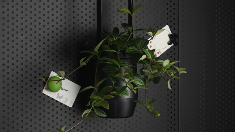 BDCI Bloom Engine Spot Smart Planter has a flower basket design and growth functions