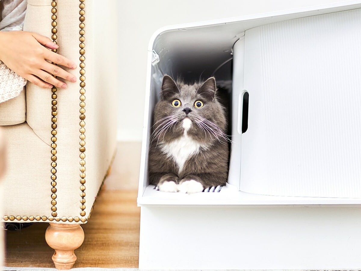 PETKIT White Villa semi-enclosed cat litter box keeps litter hidden and decreases smells