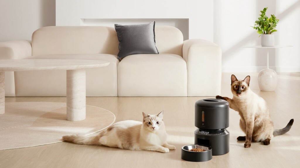 Pet Accessories To Make Your House a Home