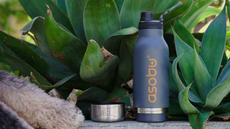 Asobu Buddy Bottle stainless steel water bottle is one that you can share with your dog