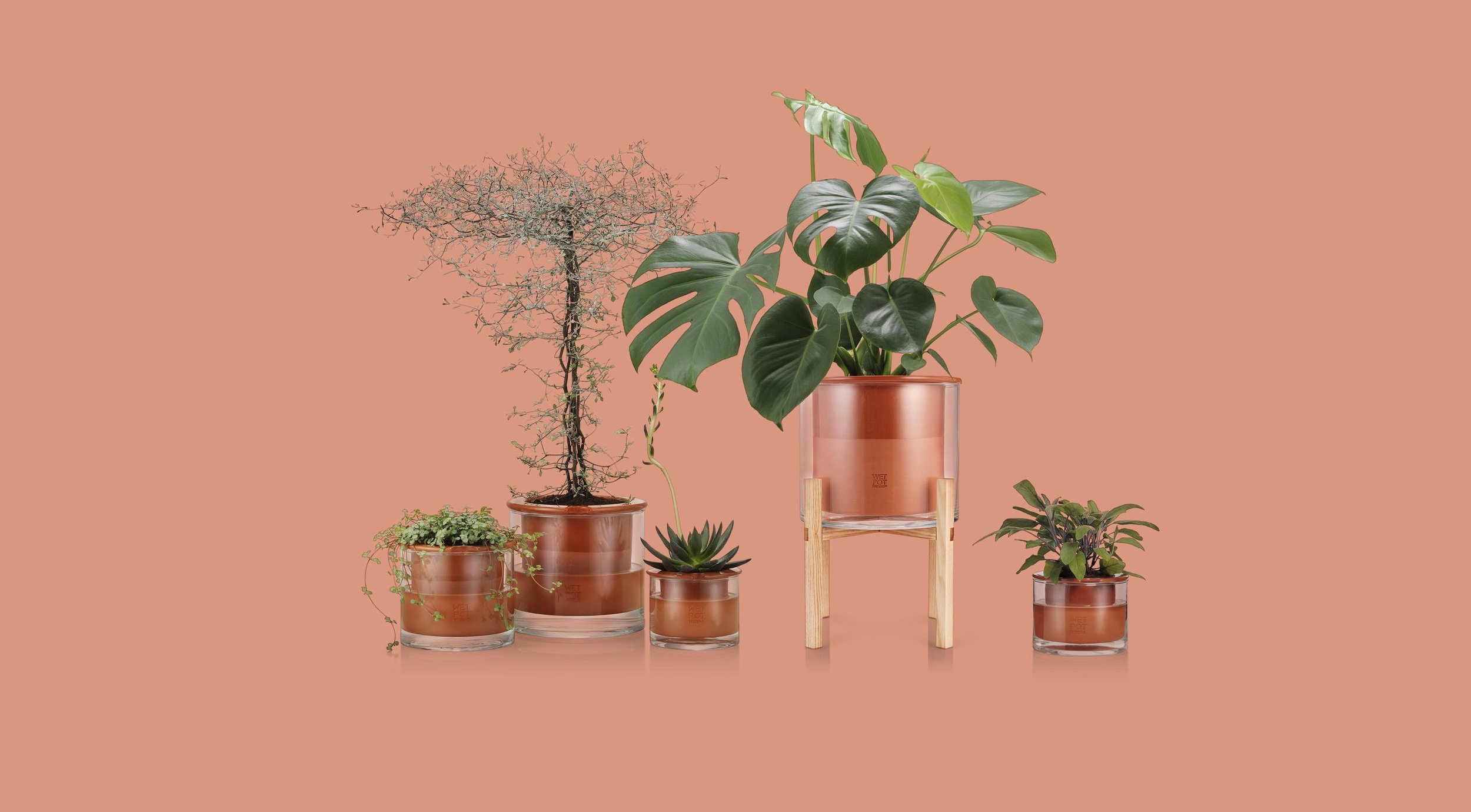 Wet Pot Systems SelfWatering Pots take care of your indoor plants for