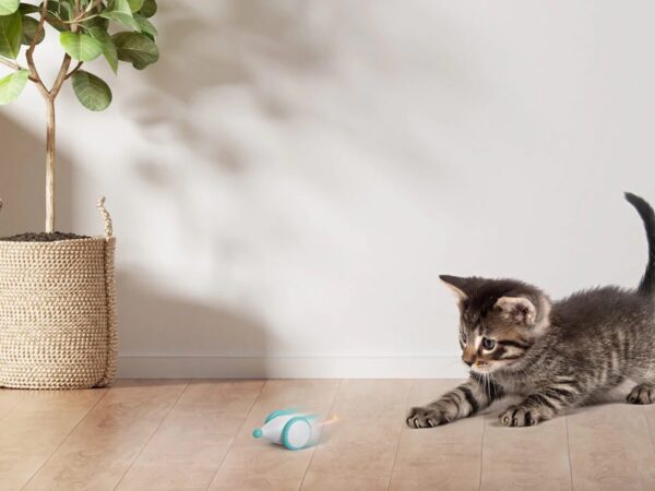 Petlibro Pixie Mouse interactive cat toy stimulates your kitty’s natural hunting instincts