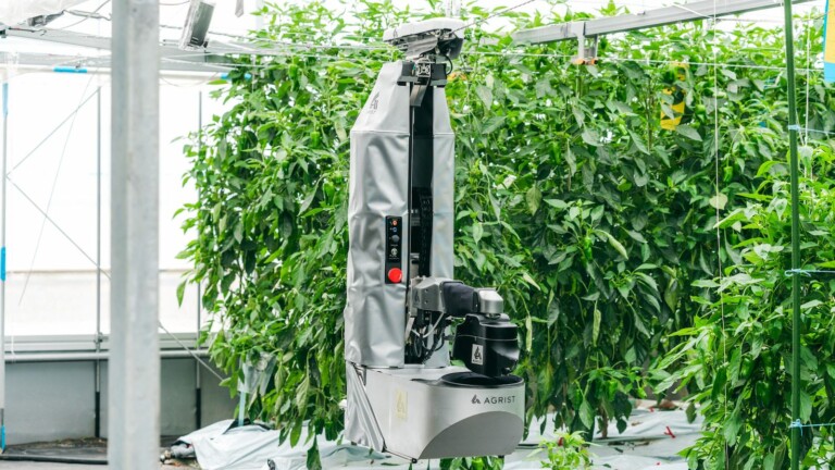 Agrist agtech robot is capable of harvesting agricultural produce and enhancing yields