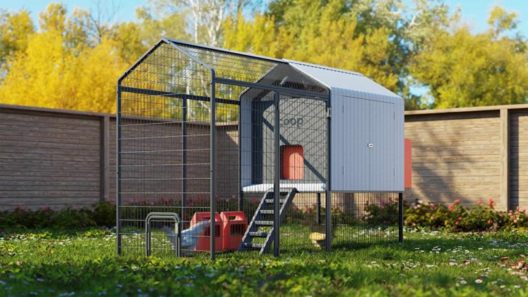 Coop <em class="algolia-search-highlight">smart</em> chicken coop is a backyard accessory made of double-walled recyclable plastic