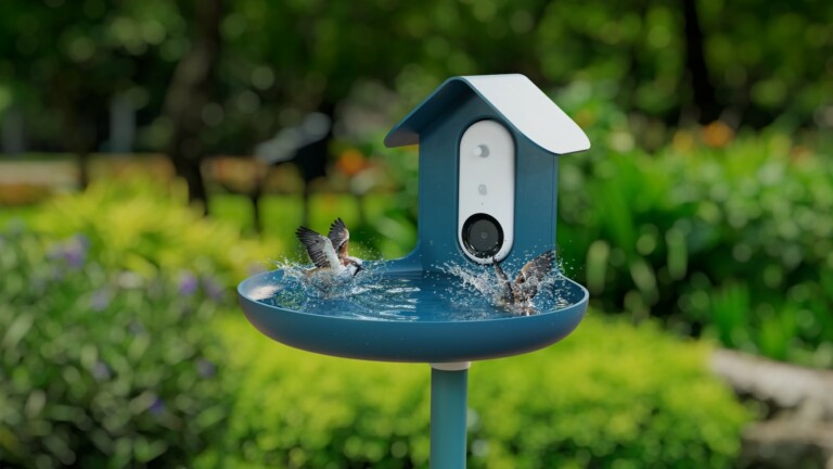 Bird Buddy <em class="algolia-search-highlight">AI</em> Smart Bird Bath captures candid moments of your feathered friends splashing